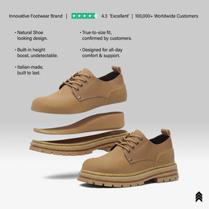 Avalor Edge - 2.75" in